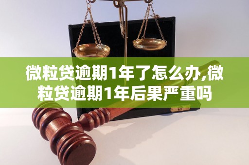 微粒贷逾期1年了怎么办,微粒贷逾期1年后果严重吗