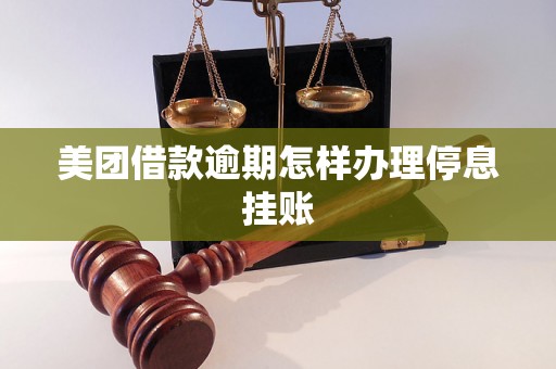 美团借款逾期怎样办理停息挂账