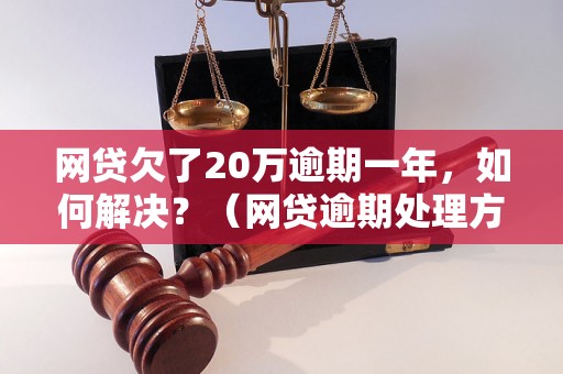 网贷欠了20万逾期一年，如何解决？（网贷逾期处理方法详解）