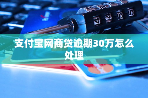 支付宝网商贷逾期30万怎么处理