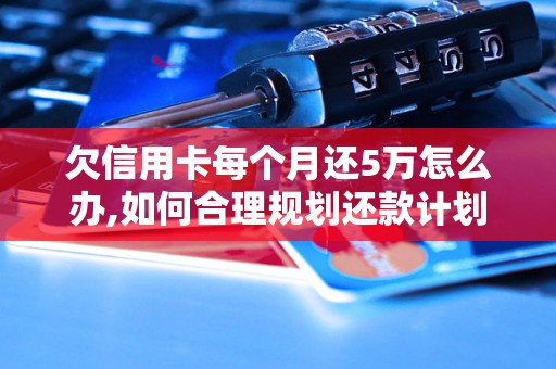 欠信用卡每个月还5万怎么办,如何合理规划还款计划