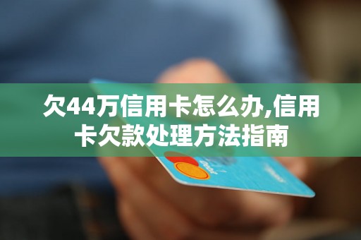 欠44万信用卡怎么办,信用卡欠款处理方法指南