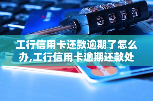 工行信用卡还款逾期了怎么办,工行信用卡逾期还款处理方法