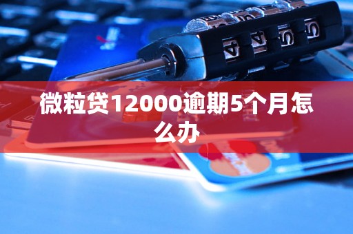 微粒贷12000逾期5个月怎么办