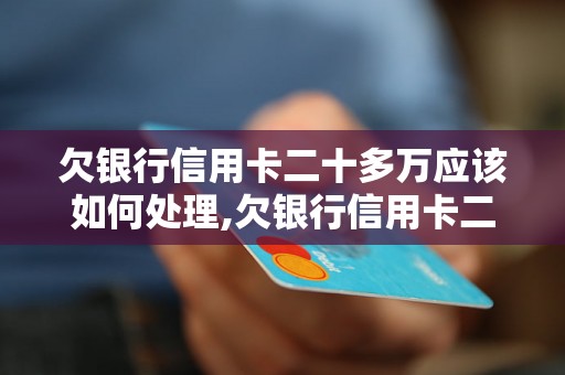 欠银行信用卡二十多万应该如何处理,欠银行信用卡二十多万怎么办