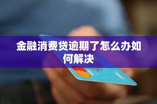 金融消费贷逾期了怎么办如何解决