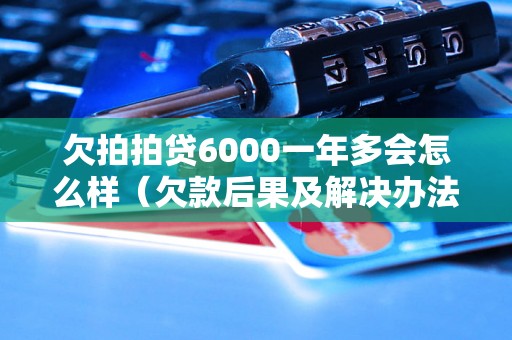 欠拍拍贷6000一年多会怎么样（欠款后果及解决办法）