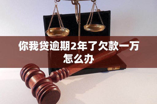 你我贷逾期2年了欠款一万怎么办