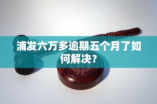 浦发六万多逾期五个月了如何解决？