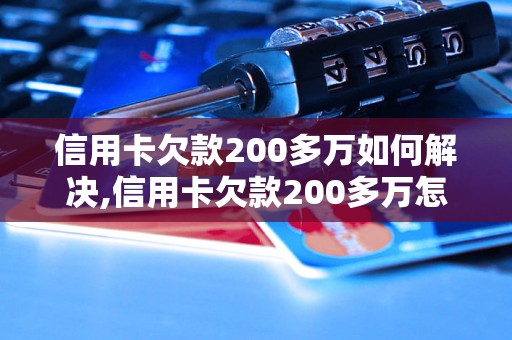 信用卡欠款200多万如何解决,信用卡欠款200多万怎么办