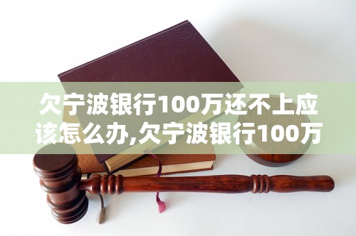 欠宁波银行100万还不上应该怎么办,欠宁波银行100万如何解决