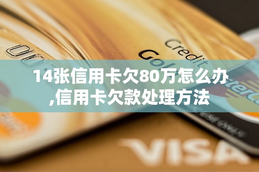 14张信用卡欠80万怎么办,信用卡欠款处理方法