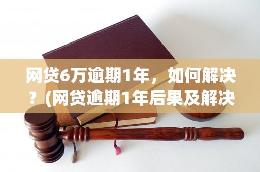 网贷6万逾期1年，如何解决？(网贷逾期1年后果及解决方法介绍)