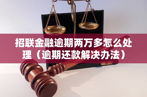 招联金融逾期两万多怎么处理（逾期还款解决办法）