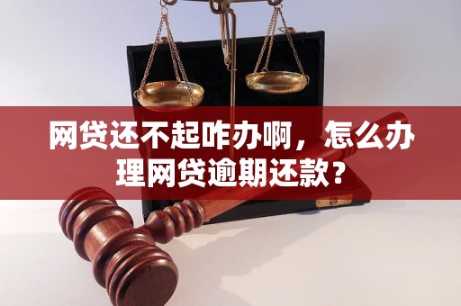 网贷还不起咋办啊，怎么办理网贷逾期还款？