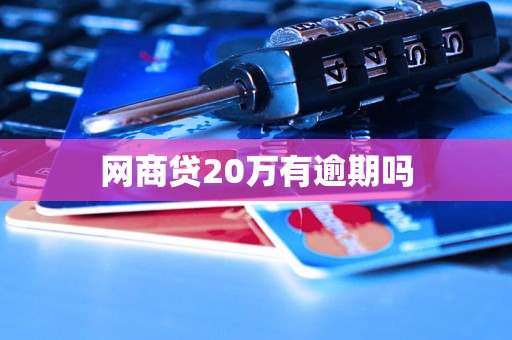 网商贷20万有逾期吗