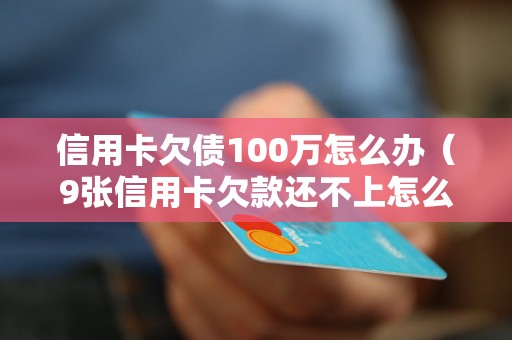 信用卡欠债100万怎么办（9张信用卡欠款还不上怎么处理）