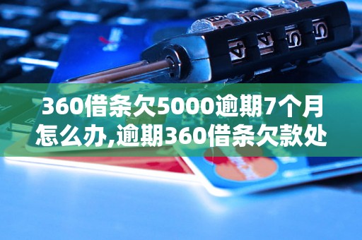 360借条欠5000逾期7个月怎么办,逾期360借条欠款处理方法