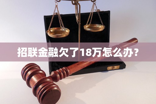 招联金融欠了18万怎么办？