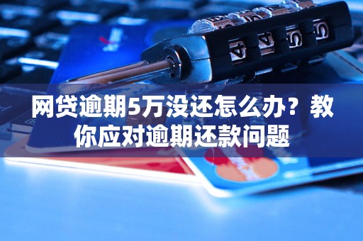 网贷逾期5万没还怎么办？教你应对逾期还款问题