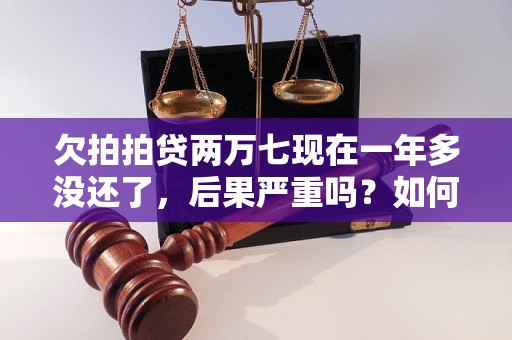 欠拍拍贷两万七现在一年多没还了，后果严重吗？如何解决？