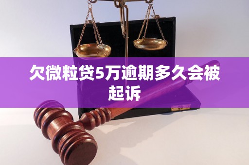 欠微粒贷5万逾期多久会被起诉