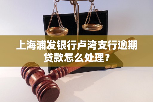 上海浦发银行卢湾支行逾期贷款怎么处理？