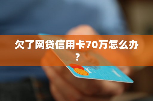 欠了网贷信用卡70万怎么办？