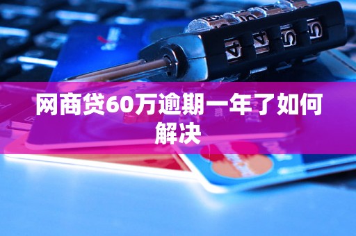 网商贷60万逾期一年了如何解决