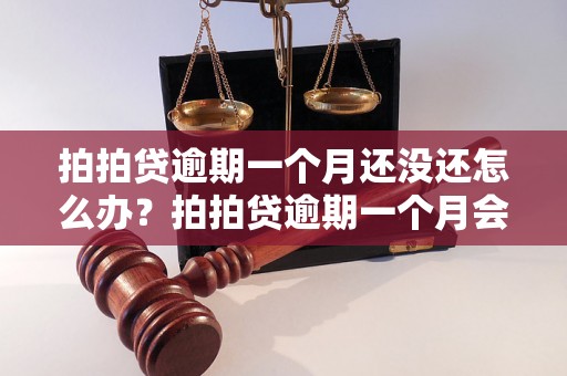 拍拍贷逾期一个月还没还怎么办？拍拍贷逾期一个月会有什么后果？