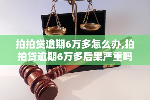 拍拍贷逾期6万多怎么办,拍拍贷逾期6万多后果严重吗