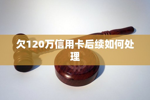 欠120万信用卡后续如何处理