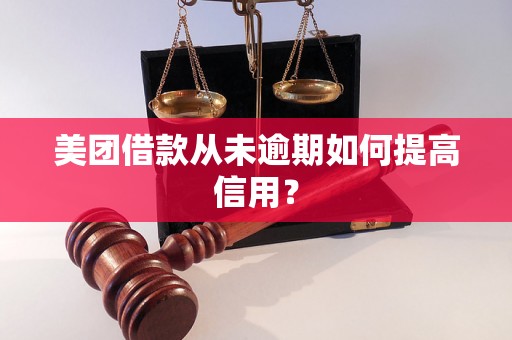 美团借款从未逾期如何提高信用？