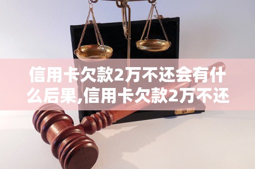 信用卡欠款2万不还会有什么后果,信用卡欠款2万不还会被追究责任吗