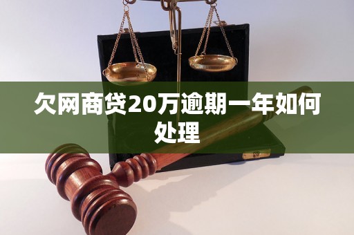 欠网商贷20万逾期一年如何处理