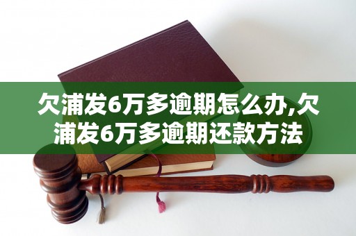 欠浦发6万多逾期怎么办,欠浦发6万多逾期还款方法