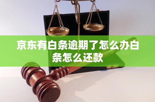 京东有白条逾期了怎么办白条怎么还款