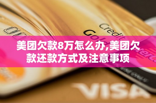 美团欠款8万怎么办,美团欠款还款方式及注意事项