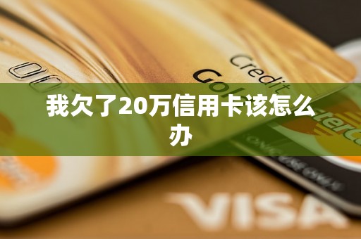 我欠了20万信用卡该怎么办