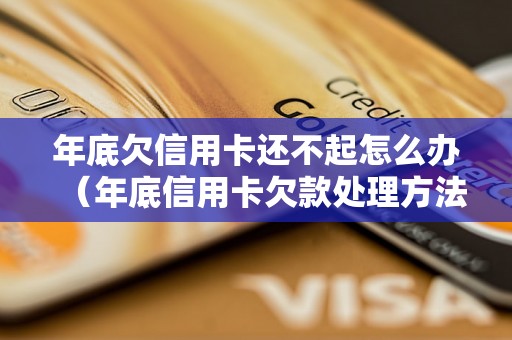 年底欠信用卡还不起怎么办（年底信用卡欠款处理方法详解）