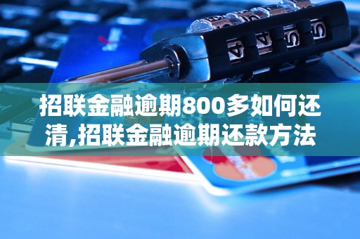 招联金融逾期800多如何还清,招联金融逾期还款方法解析