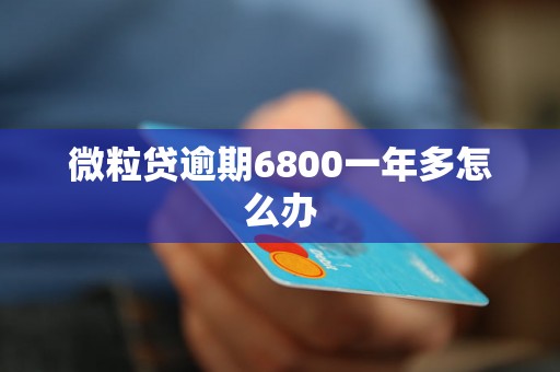 微粒贷逾期6800一年多怎么办