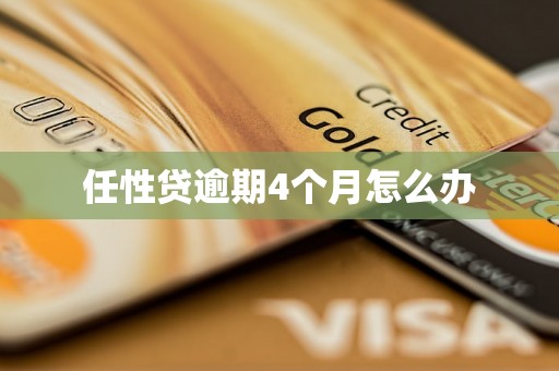 任性贷逾期4个月怎么办