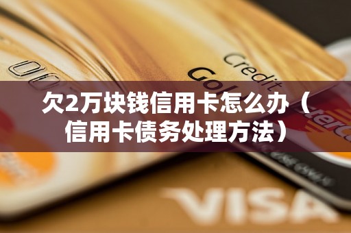 欠2万块钱信用卡怎么办（信用卡债务处理方法）