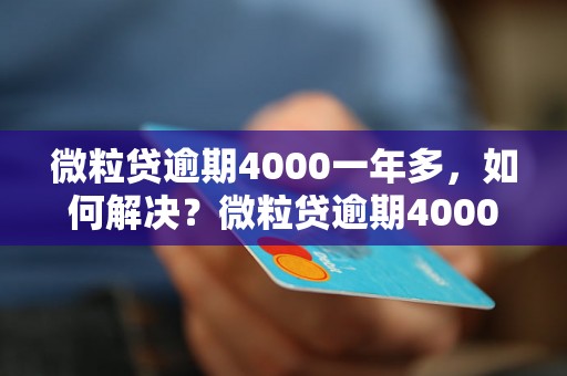 微粒贷逾期4000一年多，如何解决？微粒贷逾期4000一年多，会有什么后果？