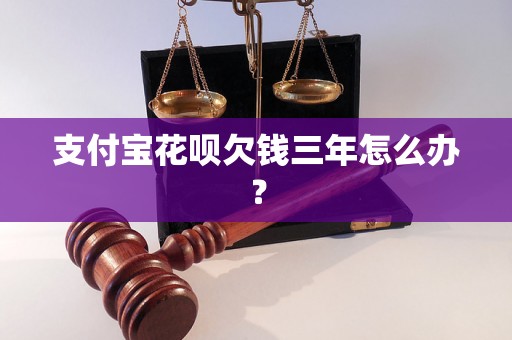 支付宝花呗欠钱三年怎么办？