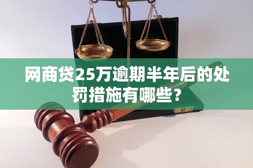 网商贷25万逾期半年后的处罚措施有哪些？