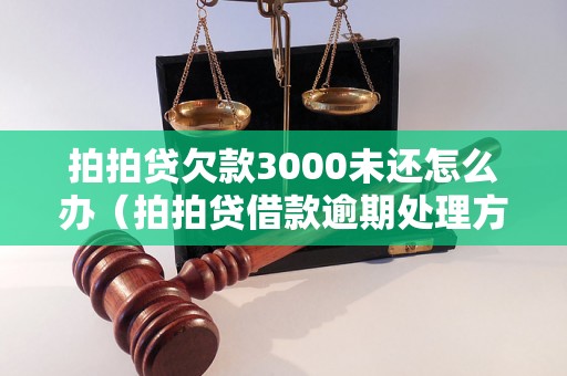 拍拍贷欠款3000未还怎么办（拍拍贷借款逾期处理方法）