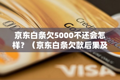 京东白条欠5000不还会怎样？（京东白条欠款后果及处理方法）