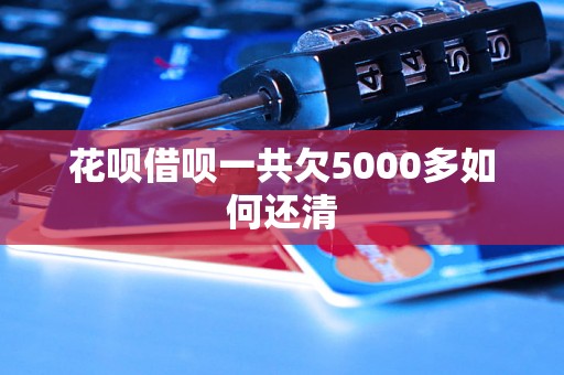 花呗借呗一共欠5000多如何还清